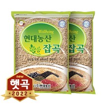 현대농산 2022년산 햇곡 국산 늘보리 4kg (2kgx2봉) 겉보리 꽁보리밥 공유하기 페이스북 트위터 닫기