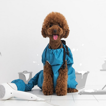 랜선하우스 강아지 드라이 수트, S