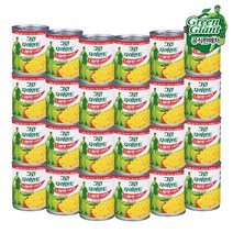 그린자이언트 니블렛 스위트콘, 195g, 24개