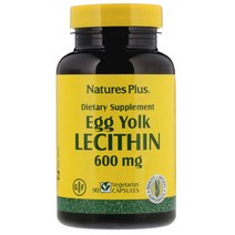 난황레시틴 난유 캡슐 Egg Lecithin 600mg 90캡슐