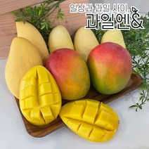 과일엔 프리미엄 고당도 애플망고 태국망고 골드 무지개 망고 모음, 브라질 애플망고, 2KG 내외 3~5입