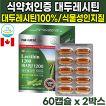 50대 60대 70대 식약처인증 캐나다 직수입 산 식물성 100% 대두 소이 레시틴 레시틴 레시친 non gmo 인지질 60% 포스파티딜콜린 포스파티콜린 혈중 콜레스테롤 개선 도움, 60캡슐X2박스(4개월분)