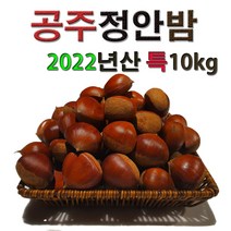 특대10kg 정안알밤 공주밤 정안밤 햇밤 알밤 밤 생율 국내산 옥광 대보 삼조생
