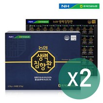 [1 1]농협 생력침향환 100환(쇼핑백포함) 침향 22%