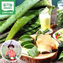 미스터팜팜 농장직송 유기농 알로에 베라/사포나리아 3kg, 02번 유기농 베라 일반 5kg