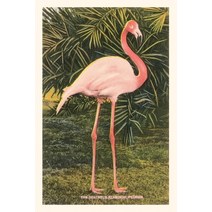 (영문도서) Vintage Journal Flamingo Paperback, Found Image Press, English, 9781669517962