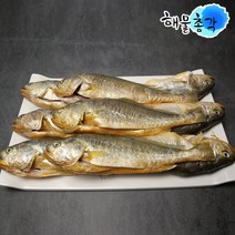 해물총각 손질 부세조기 9마리 보리굴비용 조기 생선구이 반찬, 수량