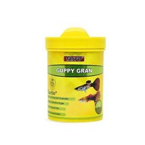 기타 바보사랑[헬로아쿠아]타이요 구피 그랜 80g-테트라 소형어사료