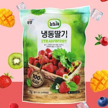 [올찬몰] 국내산 냉동 딸기 1kg, 1개