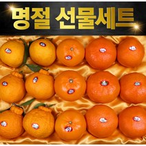 제주 한라봉 천혜향 레드향 명품선물세트, 레드향특과 3k 9-11과