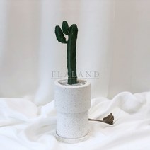 플라랜드 용신목 용심목 선인장 공기정화식물 테라조 투블럭 화분, 용신목 대-투블럭테라조(플라스틱기본받침), 기본서랍형(블랙)