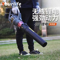 40V 송풍기 충전식 산업용 대포 초강력 고압 제설, 기본형 세트 2