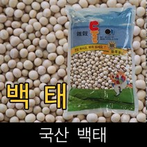 둘이 / 국산 / 백태 (메주콩) / 10kg / 2021년산 /, 1개