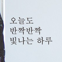 모노먼트 한글 감성 레터링 스티커 - 오늘도 반짝반짝 빛나는 하루, L-034, 흰색
