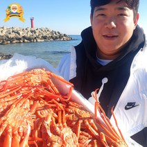 제철 대게 홍게 자숙 찜 박달 구룡포 선주직송 2kg, [신선출발]국산대게(생물or자숙찜), 특대 대게 3마리(생물)_90%내외, 1개