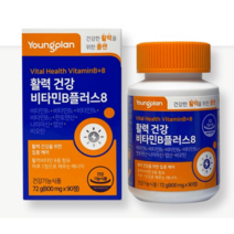 영진약품 비타민B 활력 건강 플러스8 800mg 90정 3개월 직장인 시니어 수험생, 영플랜 비타민B 플러스8 800mg 90정
