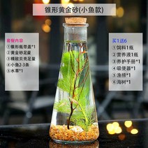 생태병어 미경관 얼룩말돔 물갈이 면제 관리회사 활동 개업 조경 어항 원통형 수초 진흙 백옥사 물고기 대금, 골든 콘 금 모래 작은 물고기 모델