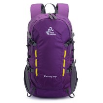 다용도 배낭 실외 운동 여행용배낭 등산백팩 40L, 보라색, 30 - 40L
