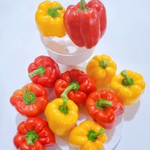 철원 특산물 못난이 파프리카 2kg, 상세페이지 참조