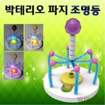 GBW73956E 만들기교구 1인용 초등학교교구 만들기 박테리오 파지 조명등 과학교구 작동완구만들기 f-04311 학습카드