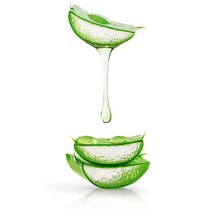 천연사랑 알로에 베라젤 (Aloe Vera Gel), 1개, 500g