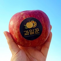 과일꾼 거창 꿀사과 못난이 선물용 가정용, 5kg (중과, 16-23입), 1box