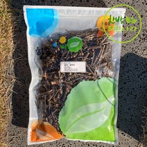 국내산 칠해목 까마귀밥나무 600g