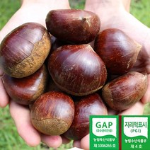 2023년 공주 정안밤 대 특 2kg 4kg 공주밤 알밤 햇밤 산지직송 GAP인증, 공주 정안밤 대 2kg, 1개