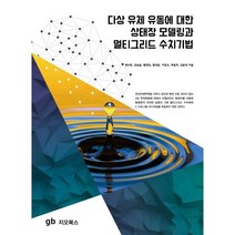 다상 유체 유동에 대한 상태장 모델링과 멀티그리드 수치기법, 곽수빈,강승윤,황영진,함석준,이경규,최용호,김준석 공저, 지오북스
