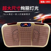 운동기구 덜덜이 전신운동 바디슬리머 가정용 마사지 쉐이크보드 피트니스 다이어트, 골드[스마트 훌라후프+스마트 운동]