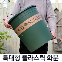 특대형 모스그린 플라스틱화분 분갈이 화분 슬릿, 7호, 화분(받침대 포함)그린