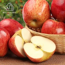 [웰굿] 경북직송 가정용 부사 사과 5kg(23-25과 간식)