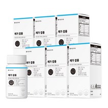 자연지애 메가 칼륨 1200mg x 120정 x 6개 (6개월), 단품, 단품