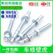 앙카 아연도금 도마뱀 차 너트 래핑 엘리베이터 전용 팽창 볼트 M8M10M20 2526127437, 16 *120 (2커버 )