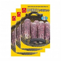채소씨앗 - 옥수수씨앗 자흑찰옥수수(30gx3)