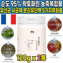 순도 95% 초유 락토패린 락토페린 농축물 모유 우유 분리유 단백 추출 분말 락토페린 lactoferrin 단백질 가루 분말 파우더 엠비피 mbp 모로오렌지 19종 유산균, 120g X 2통 + 알약케이스