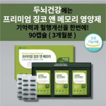 두뇌 뇌 건강 기억력 기억 감퇴 저하 장애 증상 예방 개선 향상 머리 뇌에 좋은 혈액순환 정맥순환제 혈관 질환 혈행 건강 은행잎추출물정 비타민e 아연 프리미엄 징코 영양제 90캡슐, 1개
