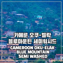 (커피생두) 119 카메룬 오쿠-엘락 블루마운틴 세미워시드 500g, 1개