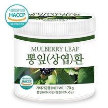 푸른들판 국내산 뽕잎환 haccp 인증 휴대용환통 사은품 증정, 170g, 1통