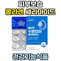 피부 보습 식물성 글루코실 세라미드 세라마이드 아연 먹는 피쉬 콜라겐 펩타이드 건강기능식품 엘라스틴 히알루론산 알로에베라겔 비타민C 어류 생선 기능성 성분 알약 캡슐 비타민씨