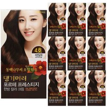 댕기머리 포르테 프레스티지 한방칼라크림 10개, 자연갈색(4호)