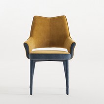 가구앤하우스 코브라 조야 원단 인테리어 디자인 카페 식탁 의자 (3color), 옐로우