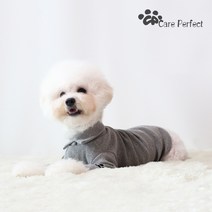 애견 옷 카라니트 명품 롱소매 강아지뜨개옷 목티 뜨기 실내복, 그레이