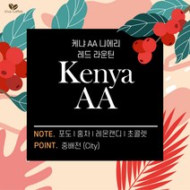 [비바커피원두]케냐 니에리 레드 마운틴 AA 핸드드립 더치 스페셜티 로스팅 원두 200g, 500g, 사이폰/더치용