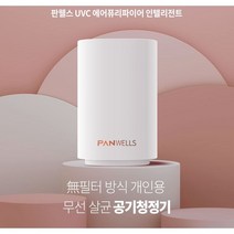 판웰스 무선 차량용 미니 공기 청정기 3가지 모드, 블랙