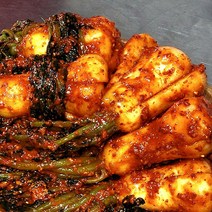 전라도꽃김치 국산 전라도맛있는김치 전라도김치 재구매 많은 가정식 수제김치 당일제조하는 생김치 모든재료 국내산 총각무김치, 2kg
