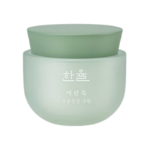 한율 어린쑥 수분 진정 크림, 50ml, 1개