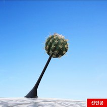 자동차 안테나볼 장안 찰옥수수 루프 인테리어 안테나 튜닝 액세서리 대전 기 귀여운 캐릭터 피규어 볼, 01 선인장【안테나 없음】