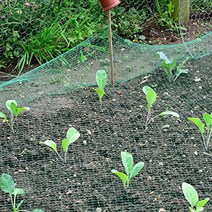 블루베리망 방조망 새망 2X5M 새그물 과수원, 1개