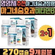 비타민B6B1 마그네슘효과 영양제추천 마그네슘권장량 30대여성영양제 비타민B2 꼭먹어야하는영양제 20대영양제추천 광동 체력강화 마그네슘종류 입술떨림 건강기능식품 건강식품 PGA